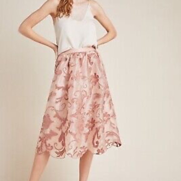Gorgeous "Shannon" Pink embroidered overlay skirt by Maeve - size Med - NWT - Picture 9 of 11